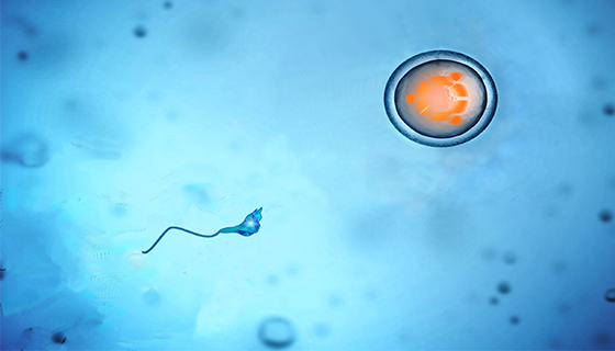 優(yōu)麒麟（Ubuntu Kylin）