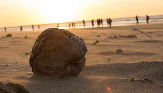 優(yōu)麒麟（Ubuntu Kylin）