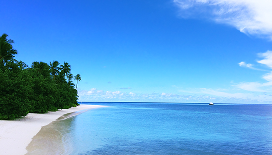 優(yōu)麒麟（Ubuntu Kylin）