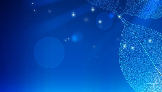 優(yōu)麒麟（Ubuntu Kylin）