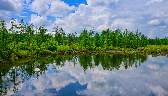 優(yōu)麒麟（Ubuntu Kylin）