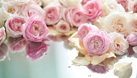 優(yōu)麒麟（Ubuntu Kylin）