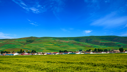 優(yōu)麒麟（Ubuntu Kylin）