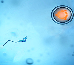 優(yōu)麒麟（Ubuntu Kylin）