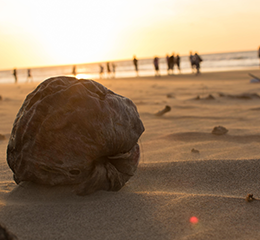 優(yōu)麒麟（Ubuntu Kylin）