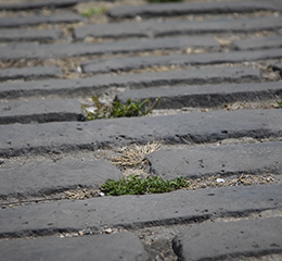 優(yōu)麒麟（Ubuntu Kylin）