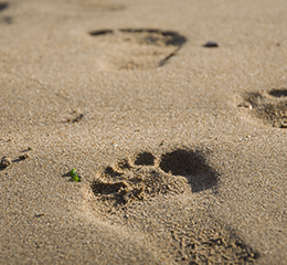 優(yōu)麒麟（Ubuntu Kylin）