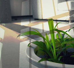 優(yōu)麒麟（Ubuntu Kylin）