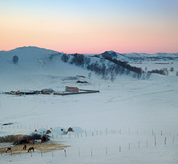 優(yōu)麒麟（Ubuntu Kylin）