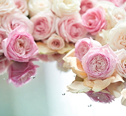 優(yōu)麒麟（Ubuntu Kylin）