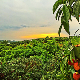 優(yōu)麒麟（Ubuntu Kylin）