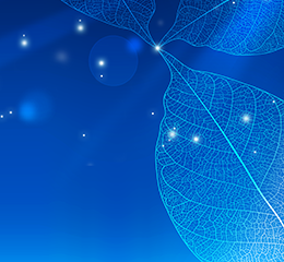 優(yōu)麒麟（Ubuntu Kylin）