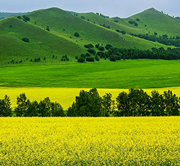 優(yōu)麒麟（Ubuntu Kylin）