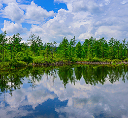 優(yōu)麒麟（Ubuntu Kylin）