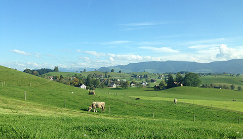 優(yōu)麒麟（Ubuntu Kylin）