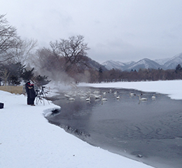 優(yōu)麒麟（Ubuntu Kylin）