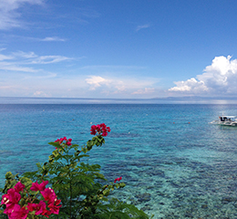 優(yōu)麒麟（Ubuntu Kylin）