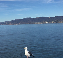 優(yōu)麒麟（Ubuntu Kylin）