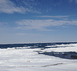 優(yōu)麒麟（Ubuntu Kylin）