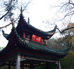 優(yōu)麒麟（Ubuntu Kylin）