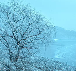 優(yōu)麒麟（Ubuntu Kylin）