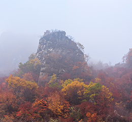 優(yōu)麒麟（Ubuntu Kylin）