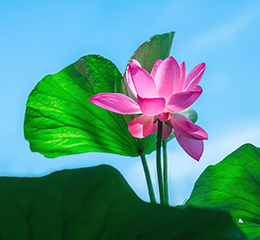 優(yōu)麒麟（Ubuntu Kylin）