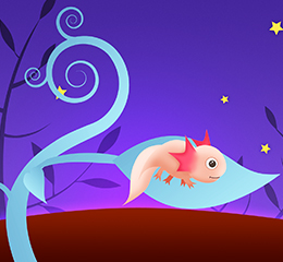 優(yōu)麒麟（Ubuntu Kylin）