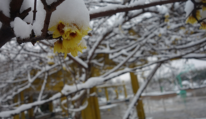 優(yōu)麒麟（Ubuntu Kylin）