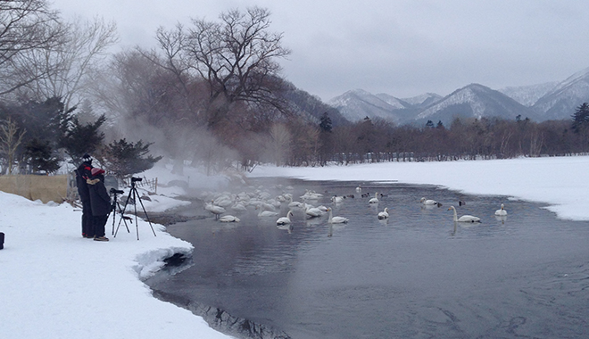 優(yōu)麒麟（Ubuntu Kylin）