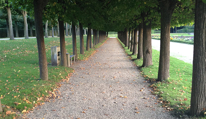 優(yōu)麒麟（Ubuntu Kylin）