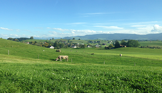 優(yōu)麒麟（Ubuntu Kylin）