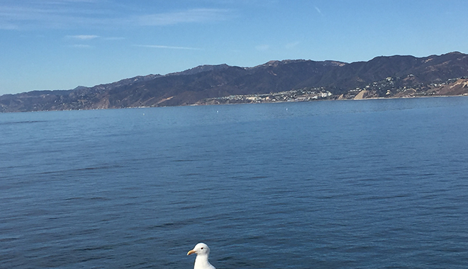 優(yōu)麒麟（Ubuntu Kylin）