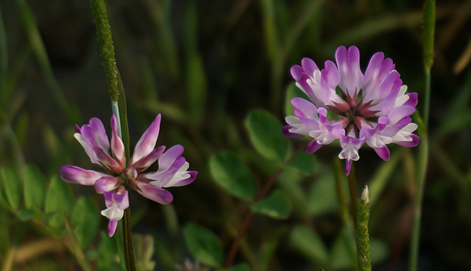 優(yōu)麒麟（Ubuntu Kylin）