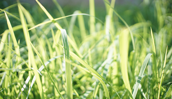 優(yōu)麒麟（Ubuntu Kylin）