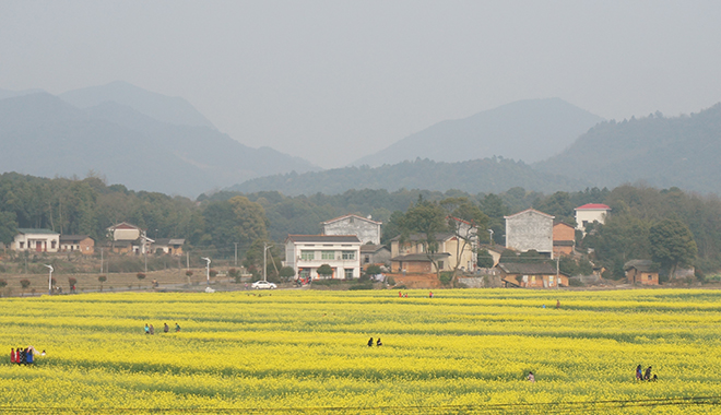 優(yōu)麒麟（Ubuntu Kylin）