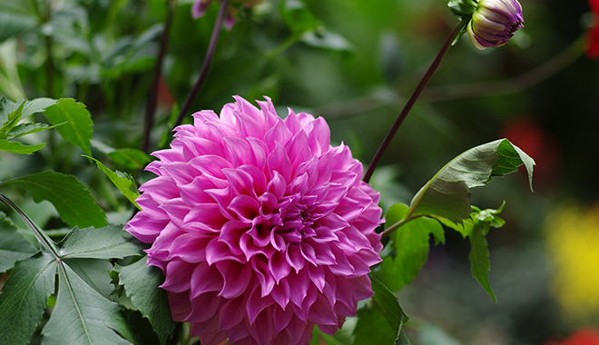 優(yōu)麒麟（Ubuntu Kylin）