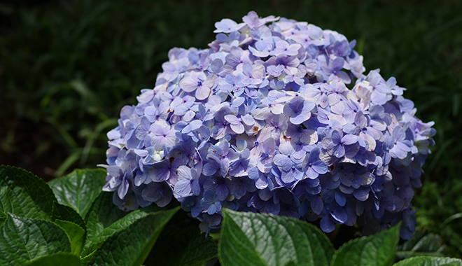 優(yōu)麒麟（Ubuntu Kylin）