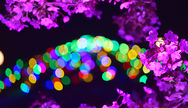 優(yōu)麒麟（Ubuntu Kylin）