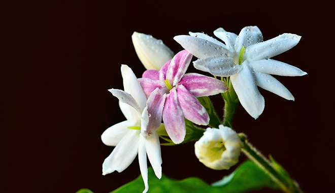 優(yōu)麒麟（Ubuntu Kylin）