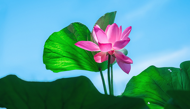 優(yōu)麒麟（Ubuntu Kylin）