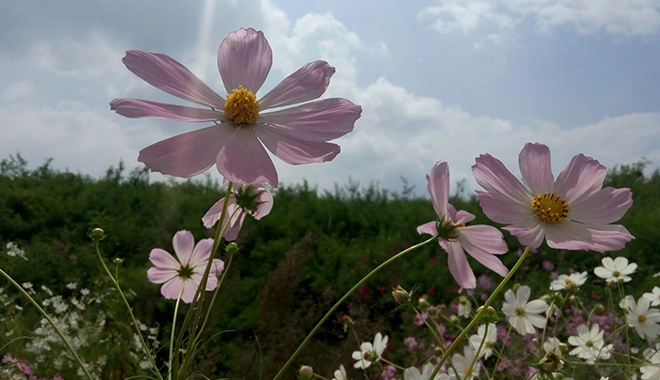 優(yōu)麒麟（Ubuntu Kylin）