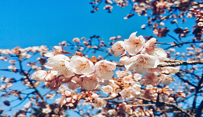 優(yōu)麒麟（Ubuntu Kylin）