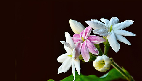 優(yōu)麒麟（Ubuntu Kylin）