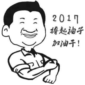 2017擼起袖子加油干！
