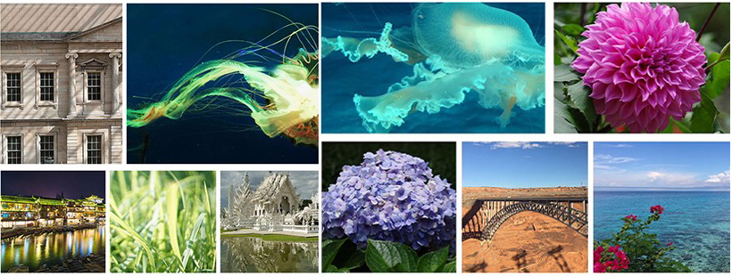 優(yōu)麒麟18.04“表情中國”壁紙征集活動微信投票正式啟動！