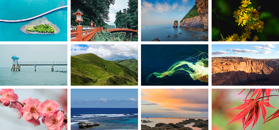 優(yōu)麒麟 優(yōu)麒麟