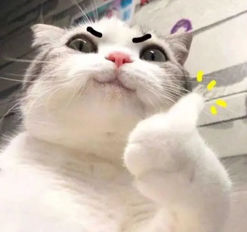 優(yōu)麒麟（Ubuntu Kylin）