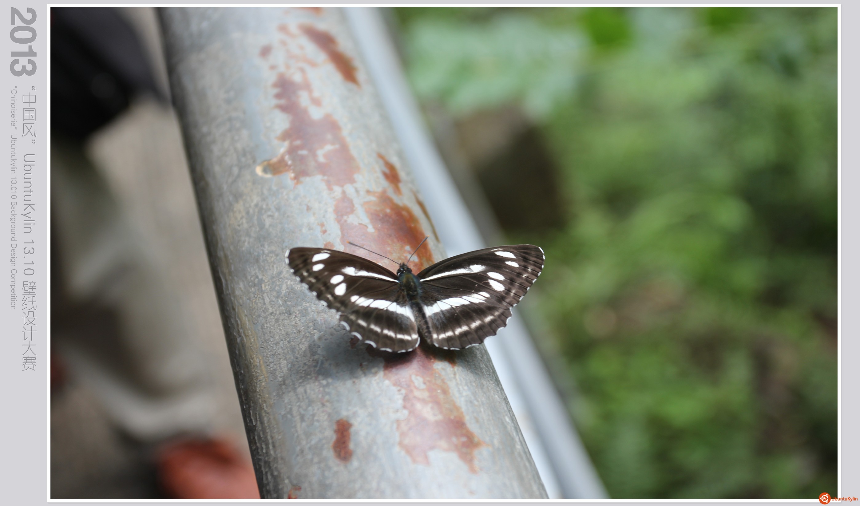 優(yōu)麒麟 優(yōu)麒麟